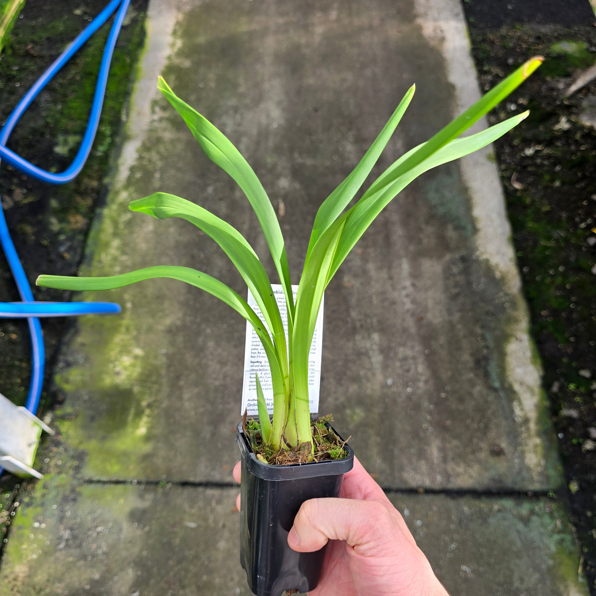 Lets Lucky casino interface showcasing games and features