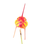 Masdevallia Southern Comfort 'Tiny Tiger'