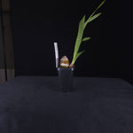 Cymbidium Ten Pin 'Tee Pee'