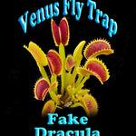 Dionaea muscipula 'Fake Dracula' – Winter Dormant - Venus Flytrap