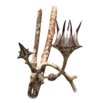 Ceropegia stapeliiformis
