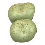 Conophytum truncatum