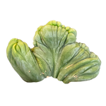 Echinopsis lageniformis f. monstrosa cristata 'TBMC' (Syn. trichocereus bridgesii)