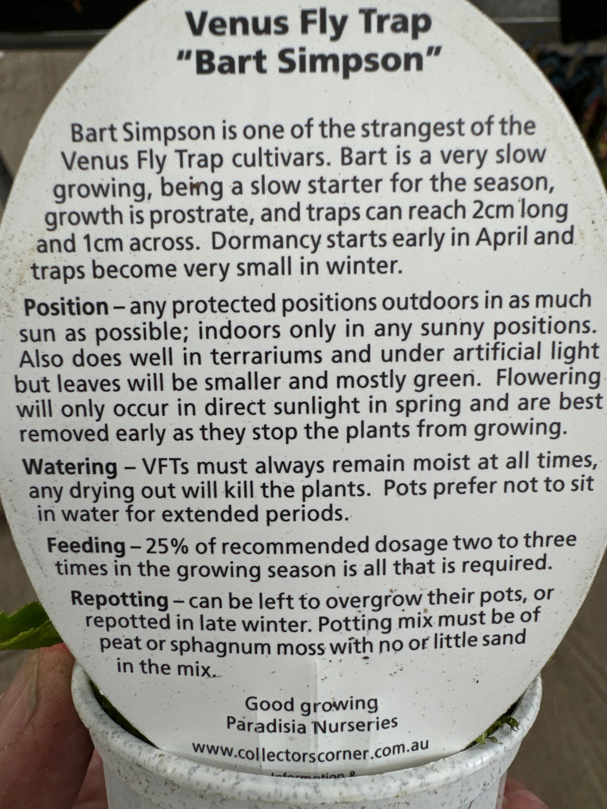 Care information label supplied with Dionaea muscipula ‘Bart Simpson’ Venus Fly Trap